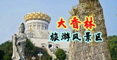 操骚逼性调网站中国浙江-绍兴大香林旅游风景区